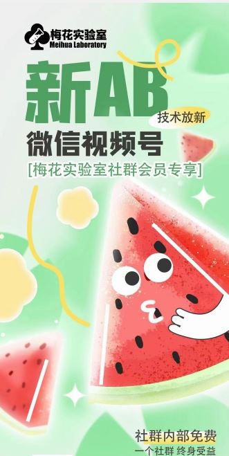 梅花实验室2024年AB技术视频号AB合成破解版-阳明聊项目