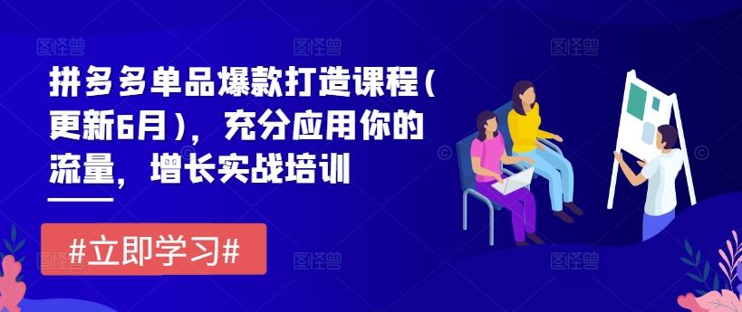 拼多多单品爆款打造课程(更新6月)，充分应用你的流量，增长实战培训-阳明聊项目