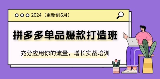 （11556期）2024拼多多-单品爆款打造班(更新6月)，充分应用你的流量，增长实战培训-阳明聊项目