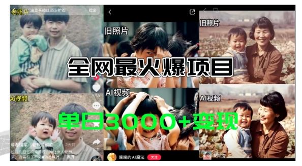 全网爆火的AI让老照片动起来教程，蹭热点日赚3k+，内含免费工具一键可生成【揭秘】-阳明聊项目