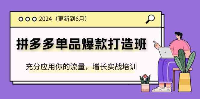 2024拼多多单品爆款打造班，充分应用你的流量，增长实战培训(更新6月)-阳明聊项目