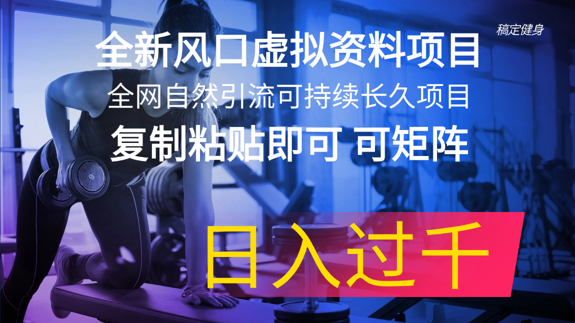 （11587期）全新风口虚拟资料项目 全网自然引流可持续长久项目 复制粘贴即可可矩阵…-阳明聊项目