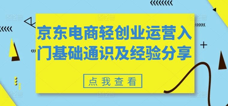 京东电商轻创业运营入门基础通识及经验分享-阳明聊项目