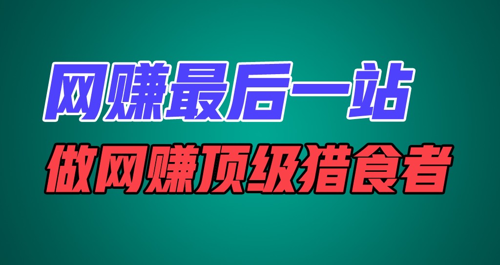 网赚最后一站，卖项目，做网赚顶级猎食者-阳明聊项目
