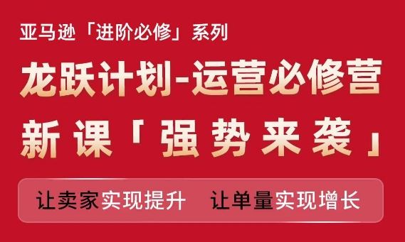 亚马逊进阶必修系列，龙跃计划-运营必修营新课，让卖家实现提升 让单量实现增长-阳明聊项目