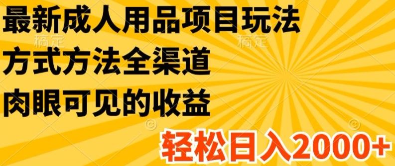 最新成人用品项目玩法，方式方法全渠道，轻松日入2K+【揭秘】-阳明聊项目