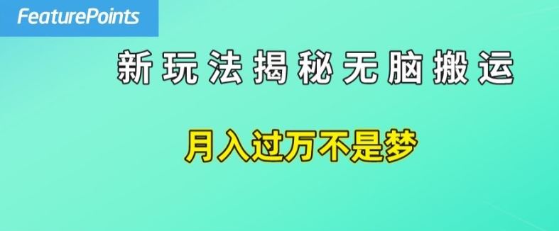 简单操作，每天50美元收入，搬运就是赚钱的秘诀【揭秘】-阳明聊项目