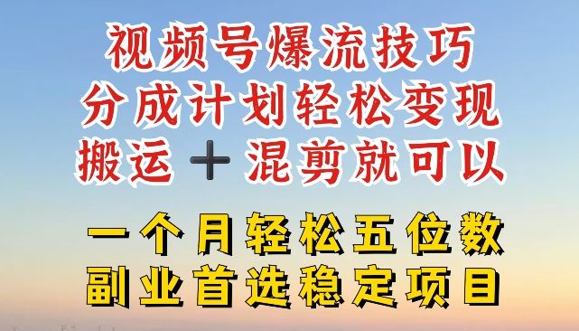 视频号爆流技巧，分成计划轻松变现，搬运 +混剪就可以，一个月轻松五位数稳定项目【揭秘】-阳明聊项目