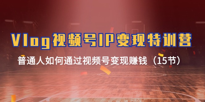 Vlog视频号IP变现特训营，普通人如何通过视频号变现赚钱（15节）-阳明聊项目