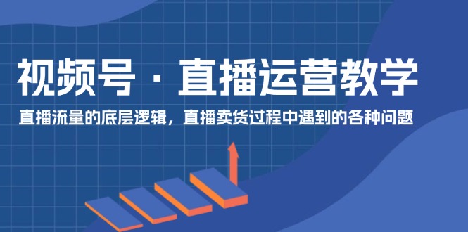 （11687期）视频号 直播运营教学：直播流量的底层逻辑，直播卖货过程中遇到的各种问题-阳明聊项目