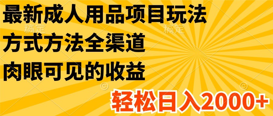 最新成人用品项目玩法，方式方法全渠道，肉眼可见的收益，轻松日入2000+-阳明聊项目