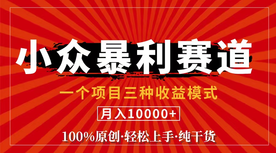 （11695期）视频号【中老年粉深信不疑】小众赛道 100%原创 手把手教学 新号3天收益…-阳明聊项目