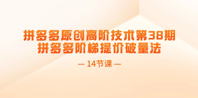 （11704期）拼多多原创高阶技术第38期，拼多多阶梯提价破量法（14节课）-阳明聊项目