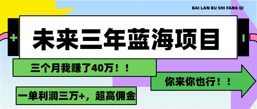 （11716期）未来三年，蓝海赛道，月入3万+-阳明聊项目