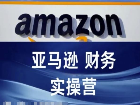 亚马逊财务核算实操营-亚马逊跨境电商教程-阳明聊项目