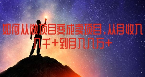 如何从做项目变成卖项目，从月收入几千到月入几万【揭秘】-阳明聊项目