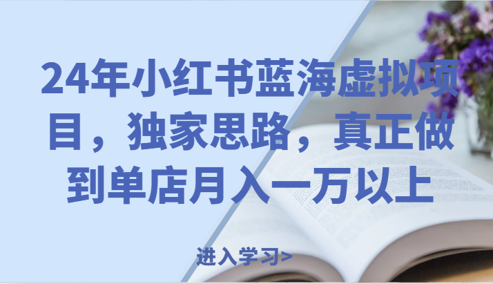 24年小红书蓝海虚拟项目，独家思路，真正做到单店月入一万以上。-阳明聊项目