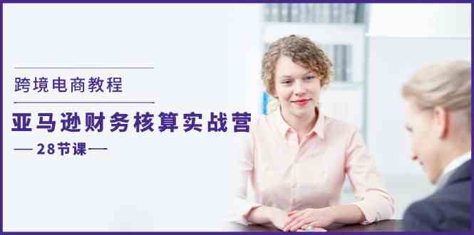 跨境电商教程：亚马逊财务核算实战营（28节课）-阳明聊项目