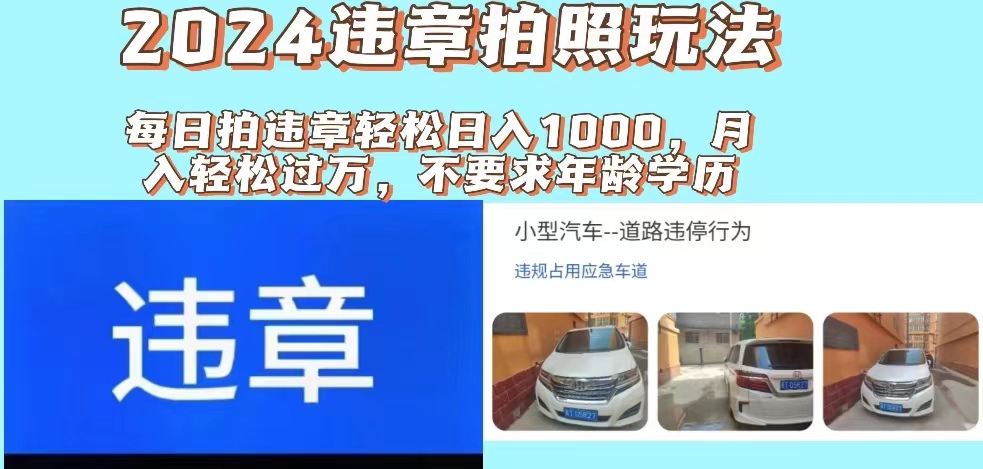 （11743期）2024违章拍照新玩法，推广躺赚+拍照赚钱双模式，日入1000+-阳明聊项目