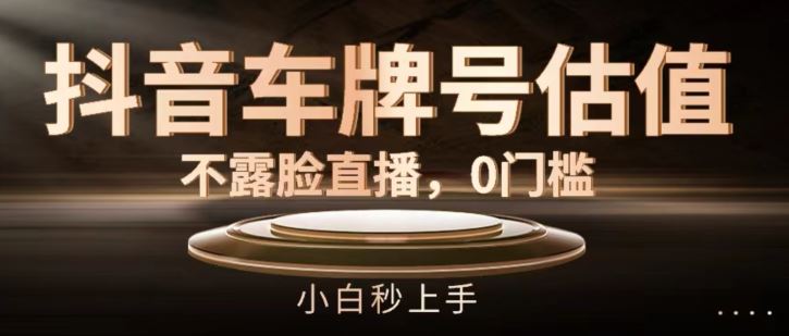 抖音车牌号估值，不露脸直播，0门槛，小白秒上手【揭秘】-阳明聊项目