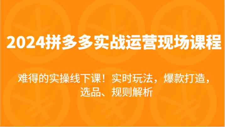 2024拼多多实战运营现场课，实时玩法，爆款打造，选品、规则解析，难得的实操线下课！-阳明聊项目