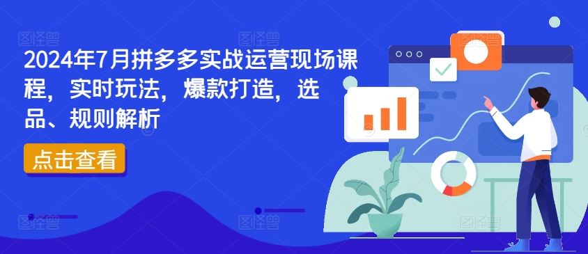 2024年7月拼多多实战运营现场课程，实时玩法，爆款打造，选品、规则解析-阳明聊项目