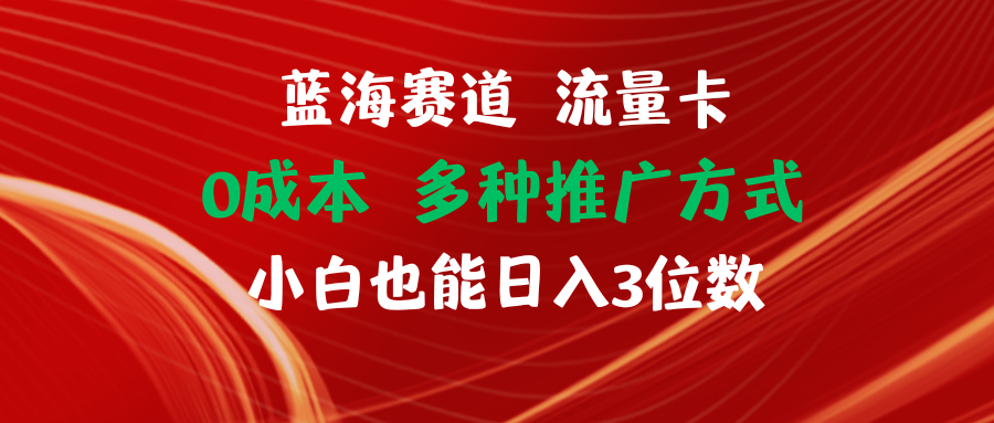 （11768期）蓝海赛道 流量卡 0成本 小白也能日入三位数-阳明聊项目