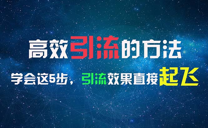 （11776期）高效引流的方法，可以帮助你日引300+创业粉，一年轻松收入30万，比打工强-阳明聊项目