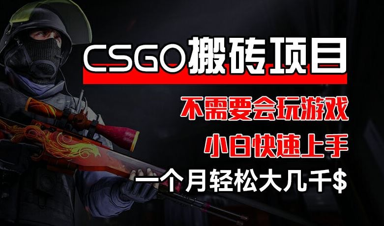CSGO 装备搬砖项目，操作简单，不需要会玩游戏，小白也能快速上手，一个月轻松大几千【揭秘】-阳明聊项目