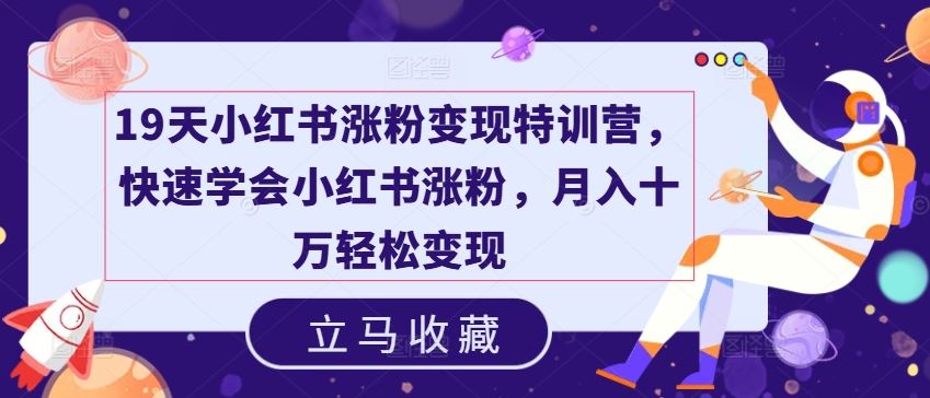 19天小红书涨粉变现特训营，快速学会小红书涨粉，月入十万轻松变现-阳明聊项目