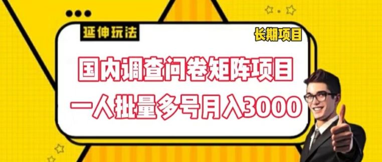 国内调查问卷矩阵项目，一人批量多号月入3000【揭秘】-阳明聊项目