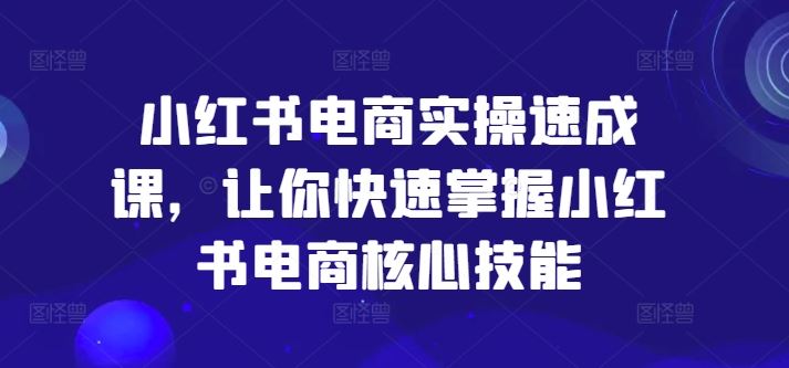 小红书电商实操速成课，让你快速掌握小红书电商核心技能-阳明聊项目