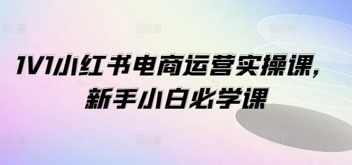 1V1小红书电商运营实操课，新手小白必学课-阳明聊项目