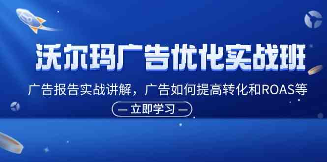 沃尔玛广告优化实战班，广告报告实战讲解，广告如何提高转化和ROAS等-阳明聊项目