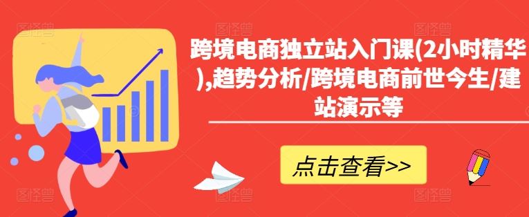 跨境电商独立站入门课(2小时精华),趋势分析/跨境电商前世今生/建站演示等-阳明聊项目
