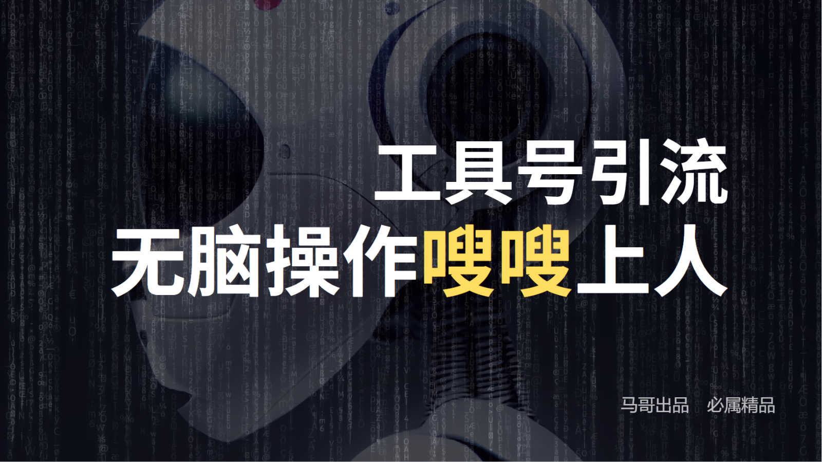 工具号高效引流法，嗖嗖上人，日引1000+，直接搬运，无脑操作-阳明聊项目