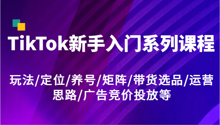 TikTok新手入门系列课程，玩法/定位/养号/矩阵/带货选品/运营思路/广告竞价投放等-阳明聊项目