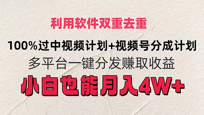 （11862期）利用软件双重去重，100%过中视频+视频号分成计划小白也可以月入4W+-阳明聊项目