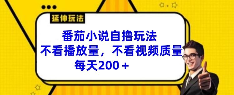 番茄小说自撸玩法，不看播放量，不看视频质量，每天200+【揭秘】-阳明聊项目