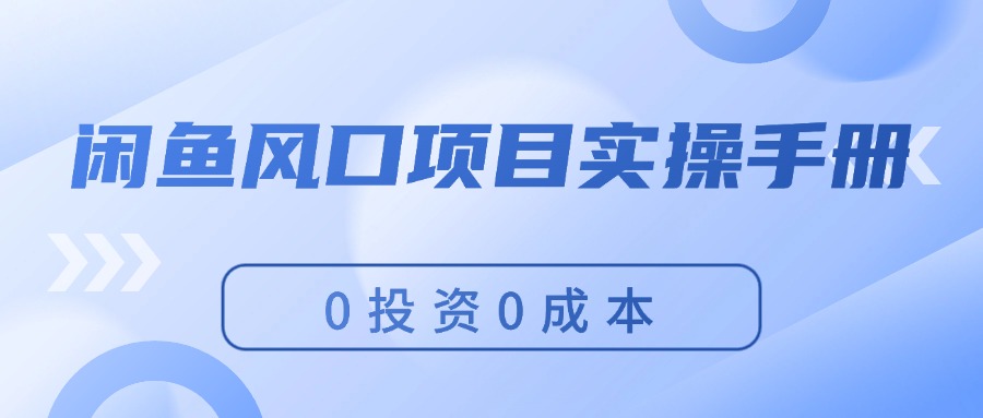 （11923期）闲鱼风口项目实操手册，0投资0成本，让你做到，月入过万，新手可做-阳明聊项目