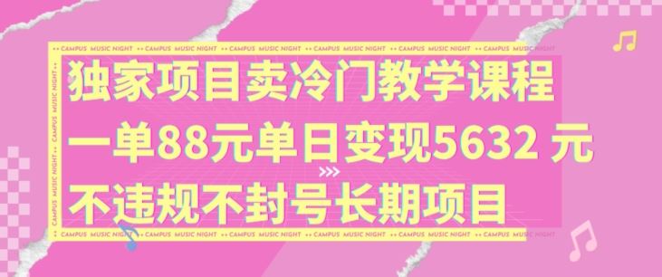 独家项目卖冷门教学课程一单88元单日变现5632元违规不封号长期项目【揭秘】-阳明聊项目