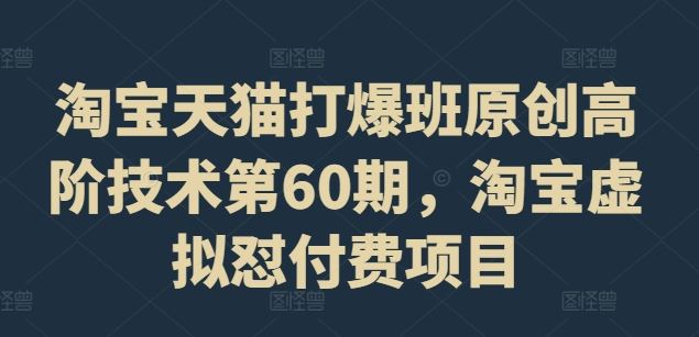 淘宝天猫打爆班原创高阶技术第60期，淘宝虚拟怼付费项目-阳明聊项目