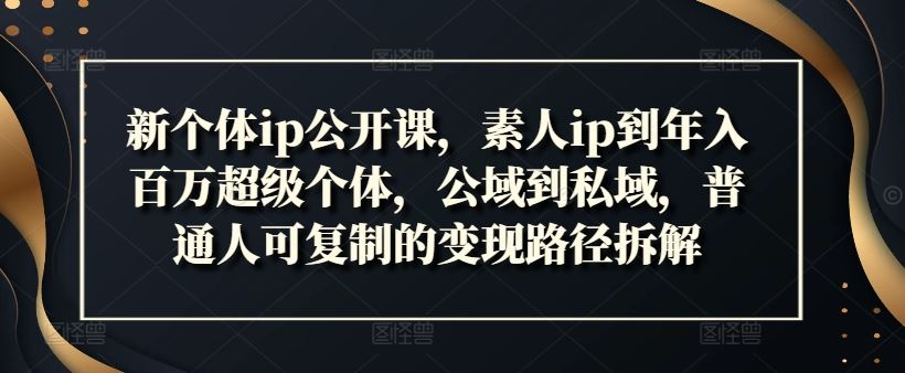 新个体ip公开课，素人ip到年入百万超级个体，公域到私域，普通人可复制的变现路径拆解-阳明聊项目