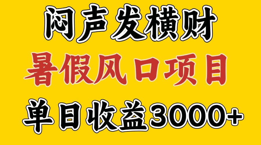 30天赚了7.5W 暑假风口项目，比较好学，2天左右上手-阳明聊项目