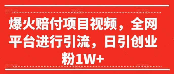 爆火赔付项目视频，全网平台进行引流，日引创业粉1W+【揭秘】-阳明聊项目