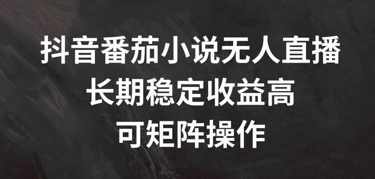 抖音番茄小说无人直播，长期稳定收益高，可矩阵操作【揭秘】-阳明聊项目