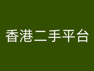 香港二手平台vintans电商，跨境电商教程-阳明聊项目