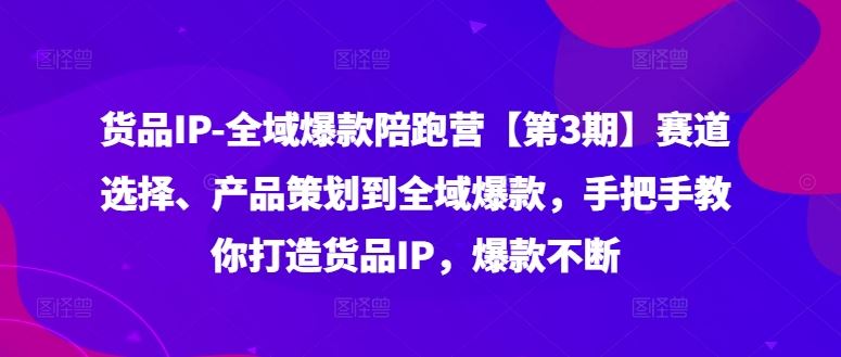 货品IP全域爆款陪跑营【第3期】赛道选择、产品策划到全域爆款，手把手教你打造货品IP，爆款不断-阳明聊项目