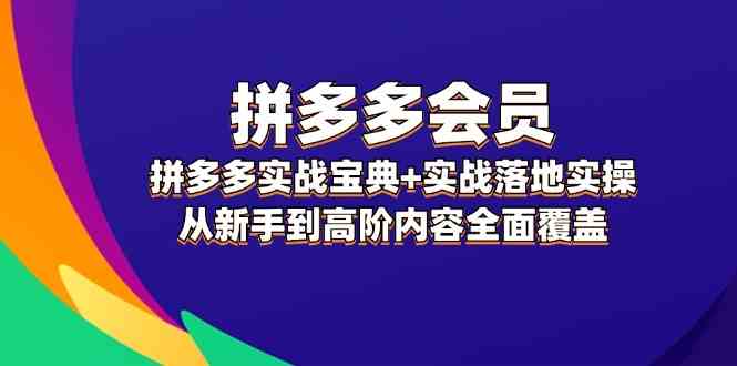 拼多多会员实战宝典+实战落地实操，从新手到高阶内容全面覆盖-阳明聊项目