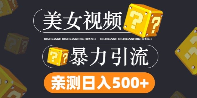 搬运tk美女视频全网分发，日引s粉300+，轻松变现，不限流量不封号-阳明聊项目